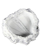 NOMOYPET Reptile Food Dish NS-61